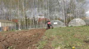 Мотоблок Shtenli присоединяю плуг МТЗ без переходников. Стандартная сцепка и ничего лишнего. Eng.Su