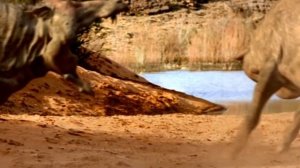 Тайны Кайнозойской Эры | Адский Кабан Кайнозоя