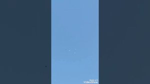 Широкохвостые бакинские голуби!пегион