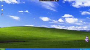 BonziKill.exe | Что говорит Bonzi?