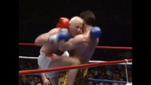 Branko Cikatic vs Andre Mannaart | K-1 Grand Prix 94