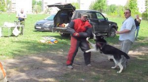 Хельхаус Риззо дрессировка в Твери с Игорем Недбайло и Александром Сурдиным