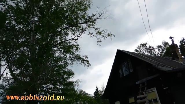 Рассеянный склеротик и луковая грядка. Разбираюсь с сорняками. Прополка противосорнячными вилками