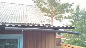 Кот залез на крышу дома, я его кое как уговорил слезть вниз