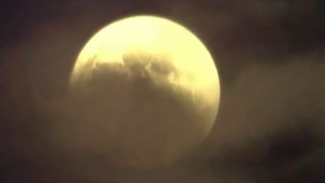 Марго\\Гоша - Люби смотреть онлайн