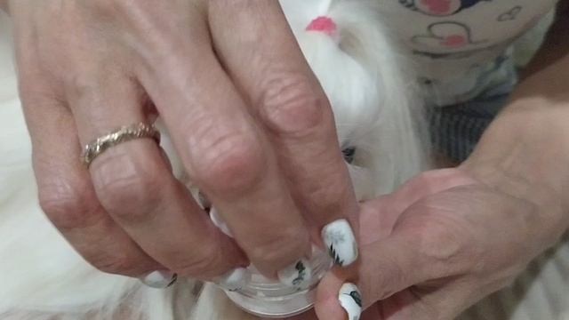 уход за глазами мальтезе
