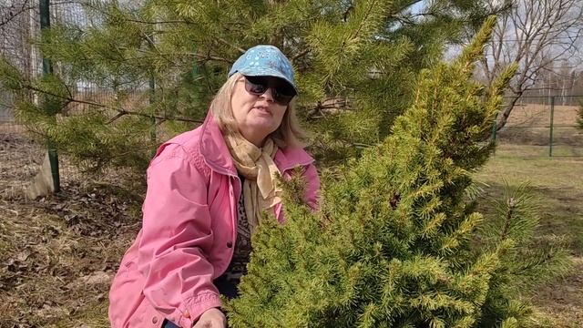 ? Долгожданная весна на даче в конце апреля. смотреть онлайн