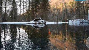 как и где ловить#большеротый окунь#MyFishingWorld