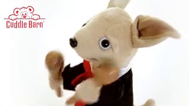 Собачка Чи Хуа Хуа смотреть онлайн