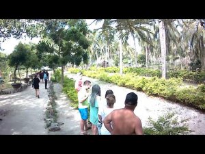 Нячанг 2019 остров обезъян  собачьи бега