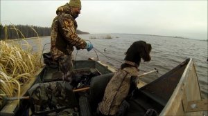 Как расставить большую стаю утиных чучел на большой воде