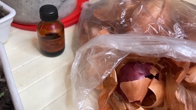 После посадки перцев, вношу только ЭТУ подкормку. Они сразу же укрепляются и идут в рост смотреть онлайн