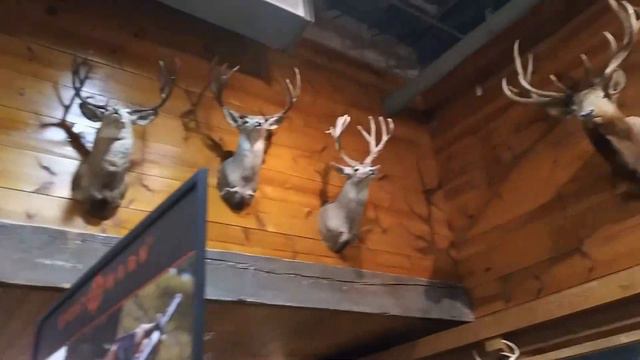 Анонс. Магазин "Outdoor World" часть 1 смотреть онлайн