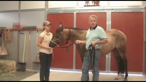 How to Hook up Git-Down-Rope Bosal