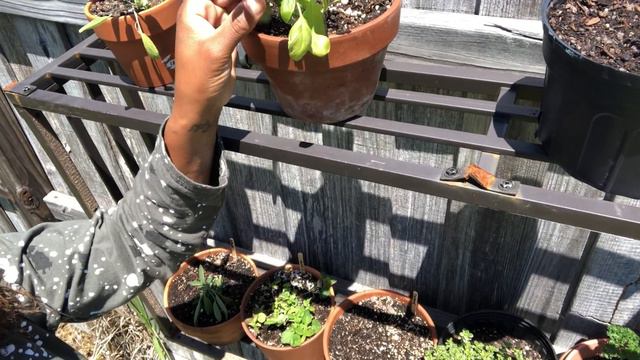 Herb Planter Spring Garden 2021 смотреть онлайн