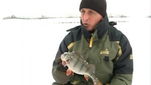 Рыбак Рыбаку 393 "Охота на горбача".