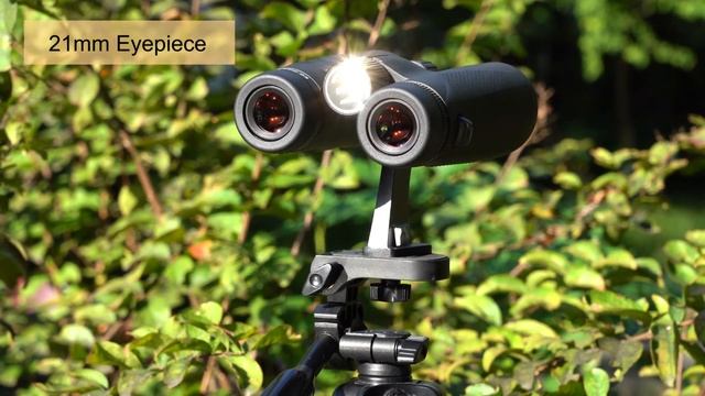 SVBONY SV202 8X32/10X42 ED GLASS Binocular смотреть онлайн