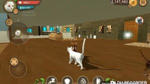 Акк 200.999 и бессмертие, на игру Cat Sim