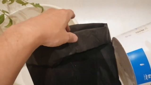 Помидоры на подоконнике. День 1 смотреть онлайн