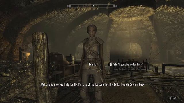 SKYRIM | Full Playthrough Episode 19 | Black Books & Daedric Quests смотреть онлайн