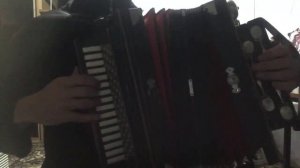 Гармошка.___2022