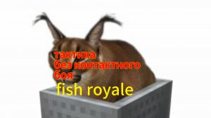 бесконтактный бой в fish royale