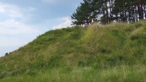 Тешеничи — Теменичи, через Трубчино и Успенский