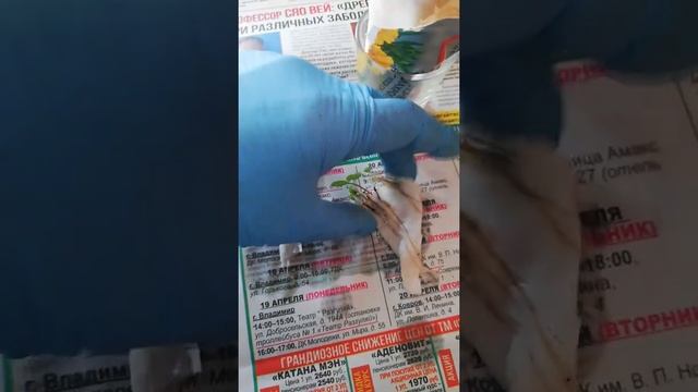 Бархатцы в улитке. Как посеять бархатцы. Бархатцы 2021 смотреть онлайн