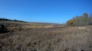 Заяц лежал плотно в траве, поднимался из под ног.