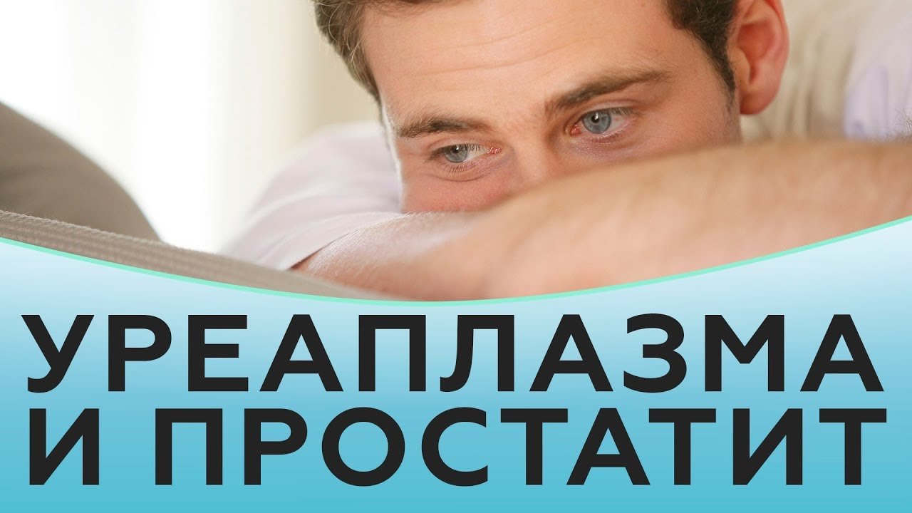 Уреаплазма и простатит.