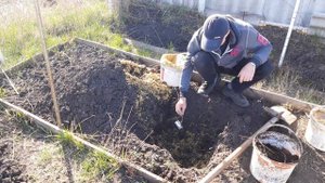 Посадка винограда на тяжелых почвах (Посадка винограду на важких грунтах)