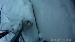 Толкач Гаджет-2. Как работает корыто 1,05 м в пухляке.