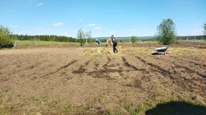 Посадка картофеля в гребни на втором участке и мульчирование /В деревеньке на Урале