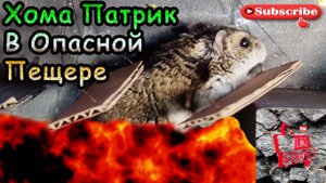Большое Приключение Хомяка ч.3 - Пещера с лавой. Big Hamster Adventure