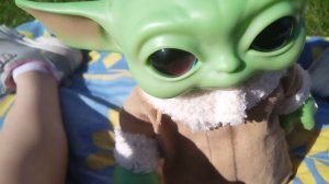 день с йодой на даче