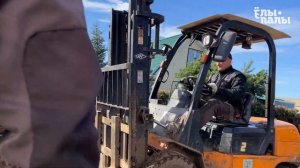 Отгрузка крупномеров питомник Ёлы палы