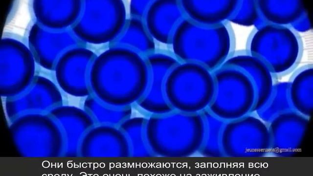 Омоложение на клеточном уровне  как это работает