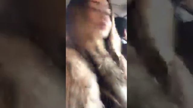 Kmatuzova98 Папина бродяга мамина симпатяга смотреть онлайн