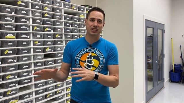 Grandbaby snake! Epic snake shipment from Always Evolving Pythons ? смотреть онлайн