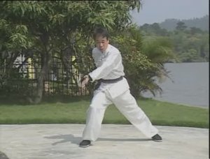 Хунцзя цюань - форма Тигра и Журавля. Ч 1