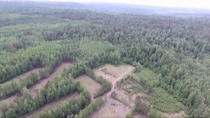 Тамтачет , река Чуна 2017