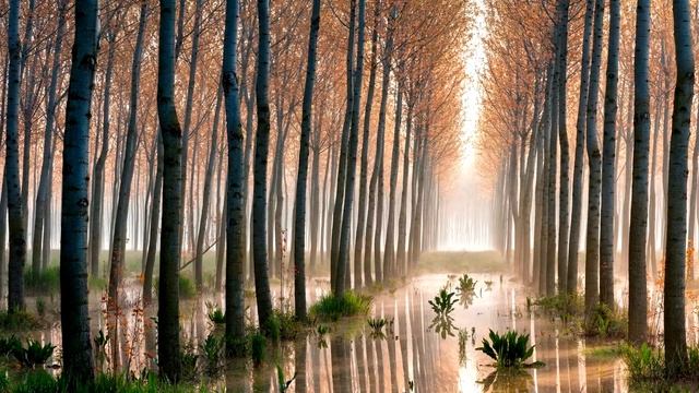 ДиДюЛя - Пещерный город Инкерман (КРАСИВАЯ ИНСТРУМЕНТАЛЬНАЯ МУЗЫКА) смотреть онлайн