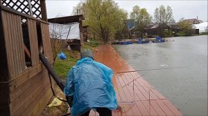 Поклевка осетра утром