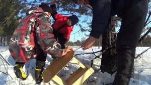 Вешаем кормушки