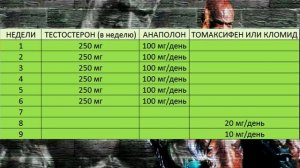 Курс для набора мышечной массы. Тестостерон + Анаполон. Курс на массу