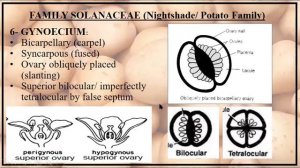 XI Chapter 9 Family Solanaceae