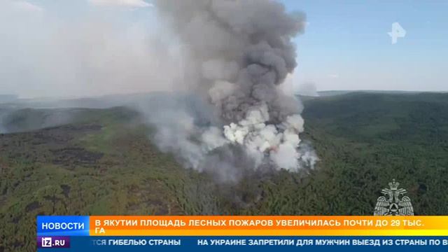 Рен ТВ # Новости, Москва, 5 июня 2024
Природные пожары в регионах РФ