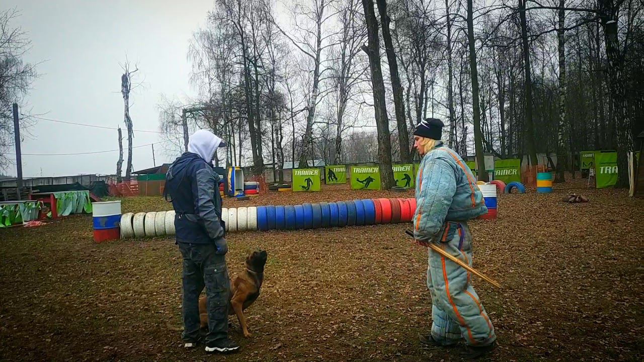 Мондьоринг.Тренировки.Охрана,конвой