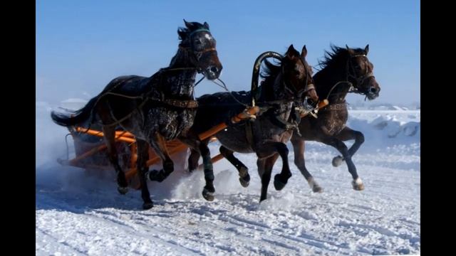 01 Русская тройка В. Городовская, переложение В. Рябов (домра)