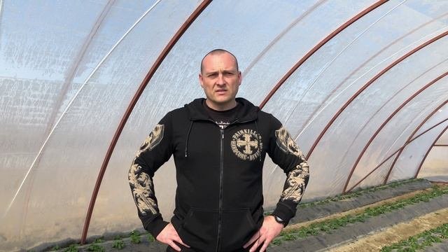 Земляника садовая/Земляника в закрытом грунте/Сорта земляники садовой